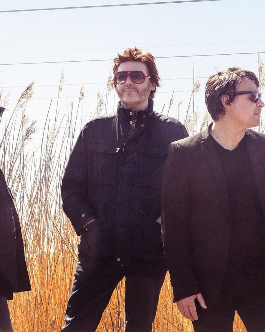 Manic Street Preachers' three members in dark jackets standing in tall golden reeds under a bright sky - the official listing image