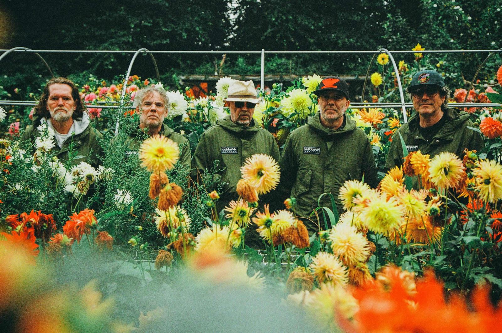 Super Furry Animals posed together among sunflowers